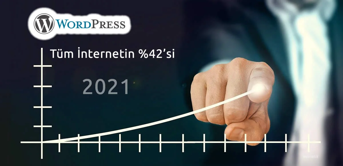 wordpress-istatistikleri-2021